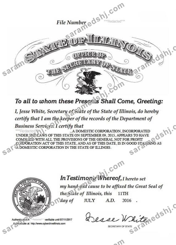 USA Illinois certificate of good standing